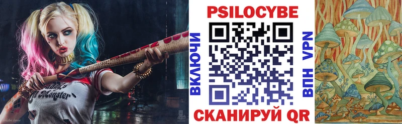 купить наркоту  Хотьково  Псилоцибиновые грибы мухоморы 