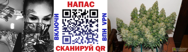 где купить наркотик  Хотьково  Каннабис LSD WEED 